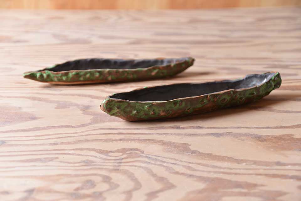 作品「ゴーヤ bitter melon」の写真