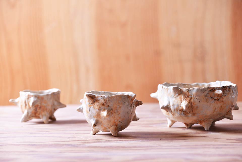 作品「殼 shell」の写真